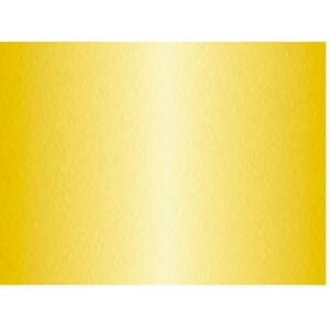 PLAKATKARTONG URSUS 48X68 380G GULL