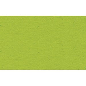 PLAKATKARTONG URSUS 48X68 380G LYS GRØNN