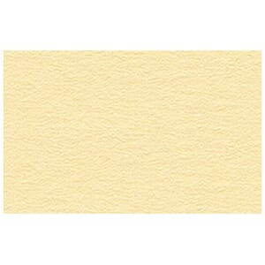 FOTOKARTONG URSUS 50X70 300G CHAMOIS