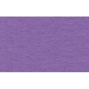 FOTOKARTONG URSUS 50X70 300G LILLA