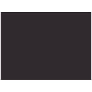 FOTOKARTONG URSUS 50X70 300G SORT