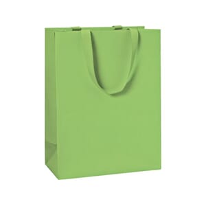 GAVEPOSE 23X13X30 LIME