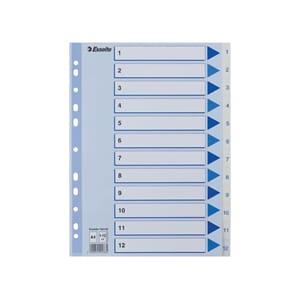 REGISTER ESSELTE A4 PLAST 1-12 BLÅ/HVIT