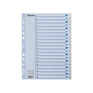 REGISTER ESSELTE A4 PLAST 1-20 BLÅ/HVIT