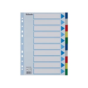 SKILLEBLAD ESSELTE A4 10-DELT PLAST 5FRG