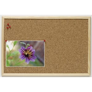 KORKTAVLE ESSELTE TRERAMME ØKO 40X60CM
