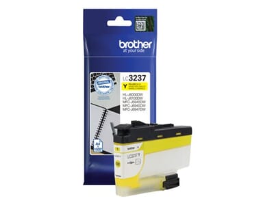 BROLC3237Y.jpg