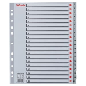 REGISTER ESSELTE MAXI 1-20 PP GRÅ